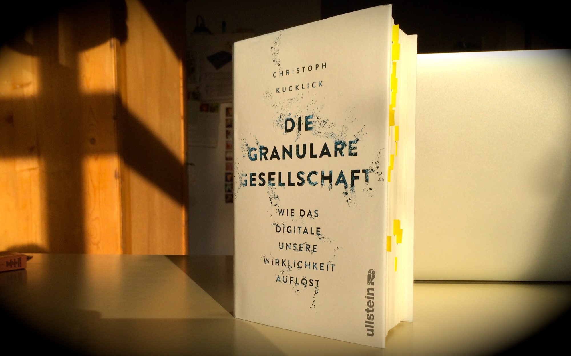 Die granulare Gesellschaft – Buchtipp